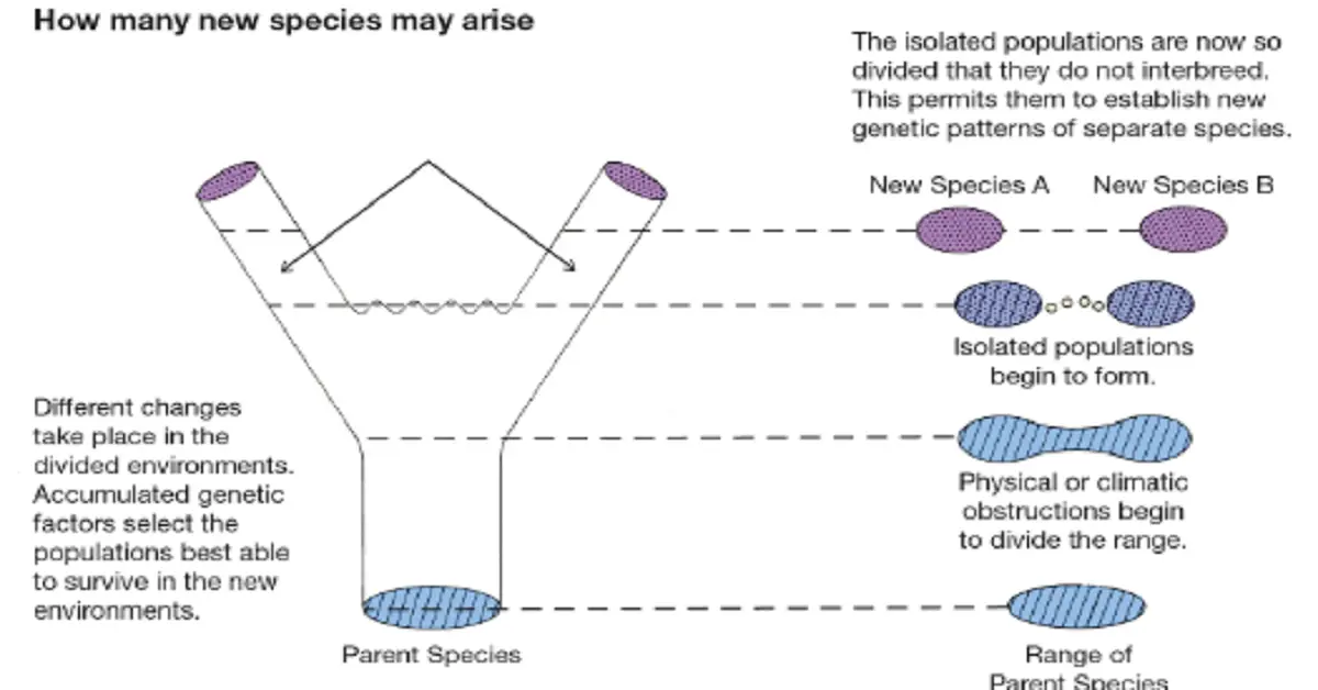 which best describes biogeographic isolation?