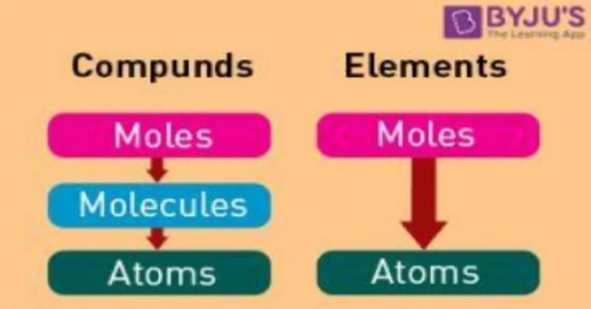 Which Statement Best Describes a Mole?