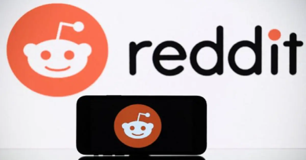 reddit s1 wallstreetbetsleebloomberg